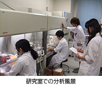 研究室での分析風景