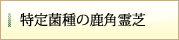 特定菌種の鹿角霊芝